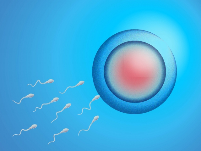 男性不妊・世界で止まらない精子の減少。少子化の原因はプラスチック？