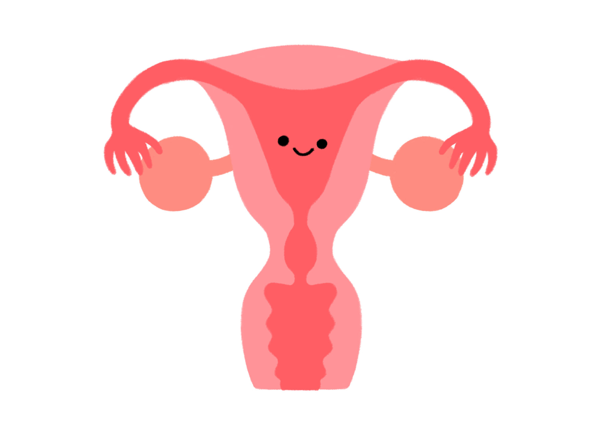 子宮内膜とは？子宮内膜の厚さと妊娠率の関係・子宮内膜をふかふかにするためにできること。